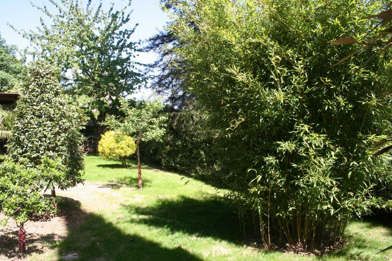 Appartamento La casa di Rachele Sarteano Esterno foto